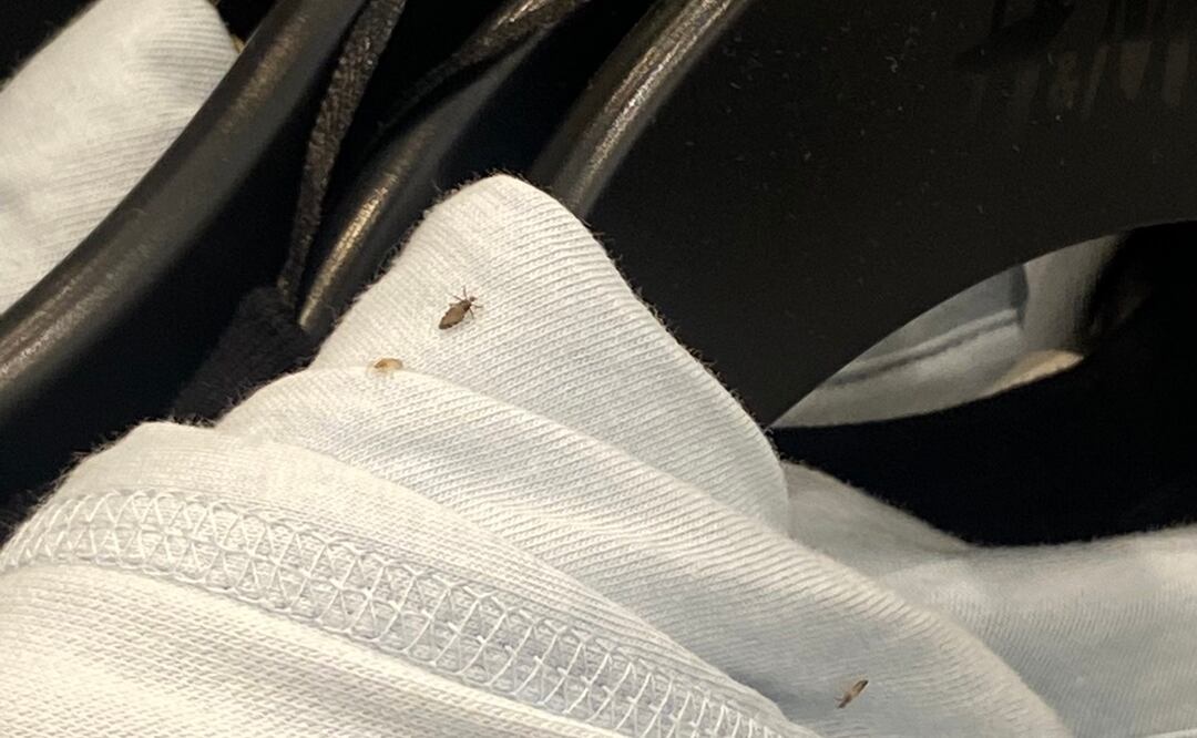 Foto: Twitter @Madesonee_