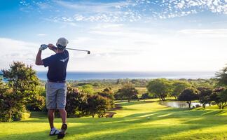 Qué hacer en Carolina del Sur, 10 cosas que no te puedes perder 