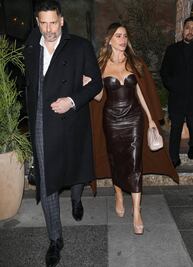 Los looks más sexys de Sofía Vergara