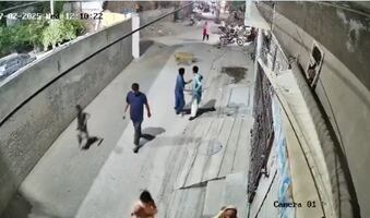 León "mascota" ataca a mujer y a sus dos hijos; detienen a los dueños del felino. VIRAL