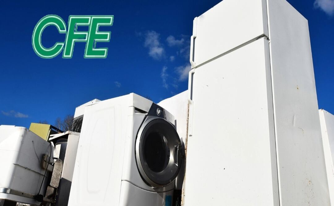 Cambia tu lavadora y refrigerador con la ayuda de CFE: Requisitos y pasos. Fotos iStock /PamWalker68