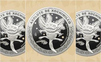 ¿Dónde y cómo conseguir la moneda conmemorativa del ajolote? Esto debes saber
