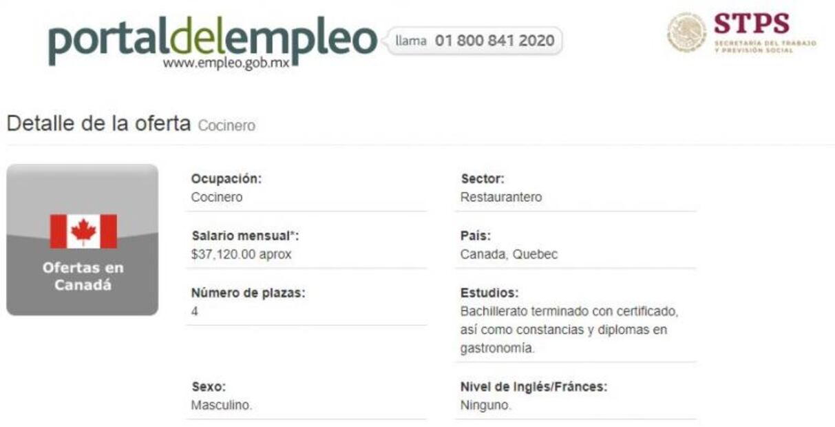 Canadá solicita cocineros mexicanos; el sueldo es de $37,120