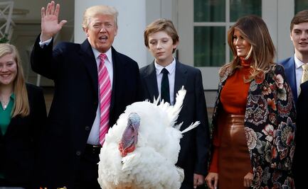 ¿Por qué el presidente perdona a un pavo en Día de Acción de Gracias?