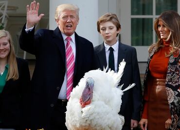 ¿Por qué el presidente perdona a un pavo en Día de Acción de Gracias?