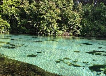 Sumérgete en el parque acuático con agua de manantial de Florida
