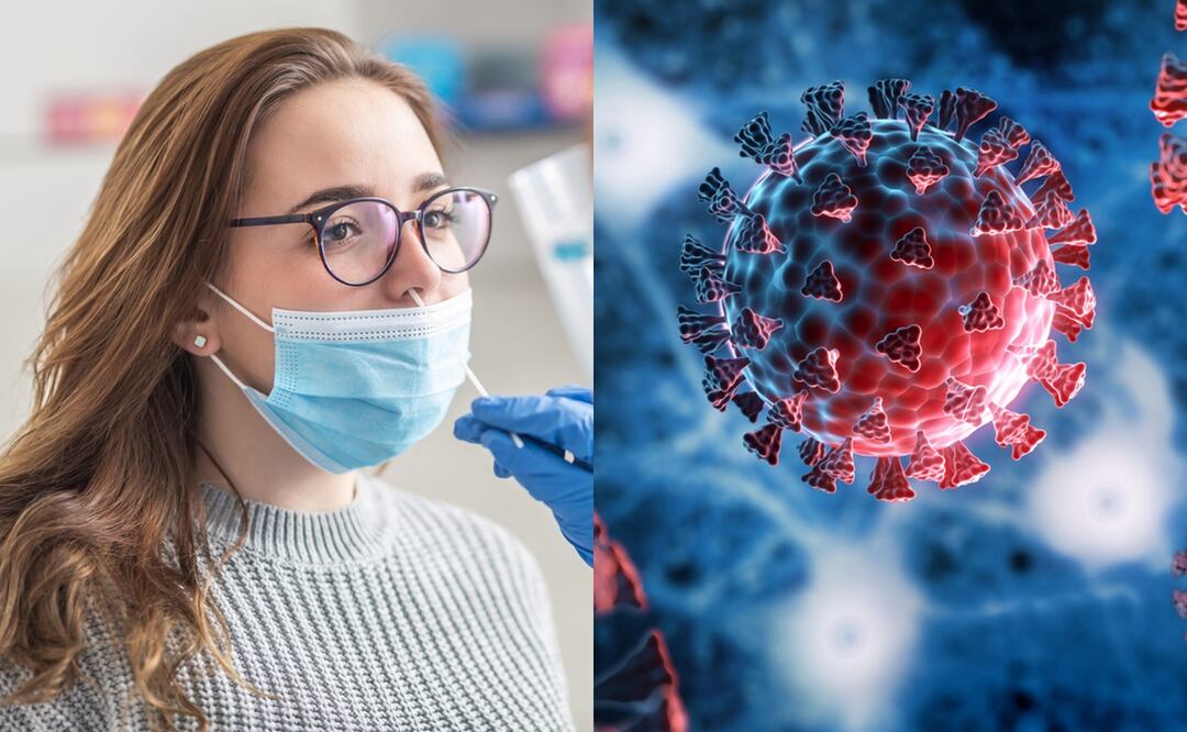 Covid: ¿Qué tan peligrosa es la nueva variante NB 1.8.1? Esto dicen los expertos Foto: iStock/MarianVejcik/peterschreiber.media