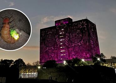 Festival de las Luciérnagas 2025 en la UNAM: Actividades, fecha y entrada gratuita