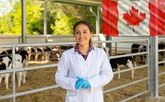 La vacante con la que veterinarios mexicanos pueden trabajar en Canadá y ganar $45,000