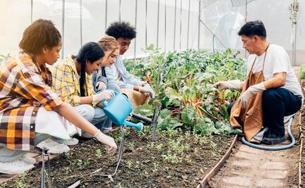 Disney World busca estudiantes para pasantía en horticultura de 6 meses en Florida