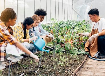 Disney World busca estudiantes para pasantía en horticultura de 6 meses en Florida