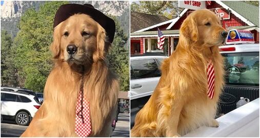 Él es Max II, el tierno perro “alcalde” de Idyllwild, California