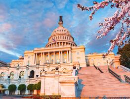 ¿Cuál es la mejor temporada para viajar a Washington D.C.? Clima, precios bajos y atracciones