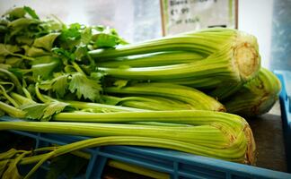 ¿Por qué el apio es bueno para la salud, según la ciencia?