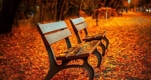 Otoño 2019. Lugares para disfrutar los paisajes otoñales de EU