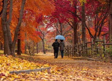 ¿Cuándo comienza el otoño 2022 y cuándo termina?