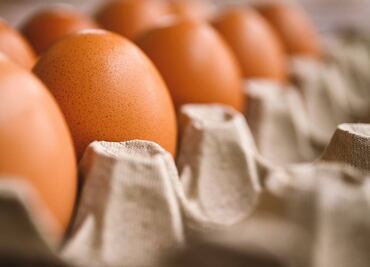 Prohíben a viajeros cruzar con huevos crudos desde México; esta es la multa