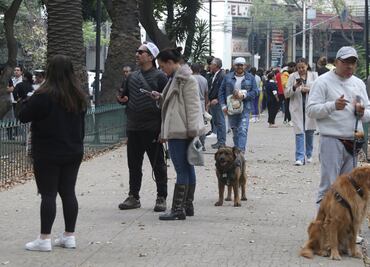 Tiembla otra vez en CDMX; Sismos de hoy de 3.2 y 2.4 con epicentro en Magdalena Contreras y Álvaro Obregón