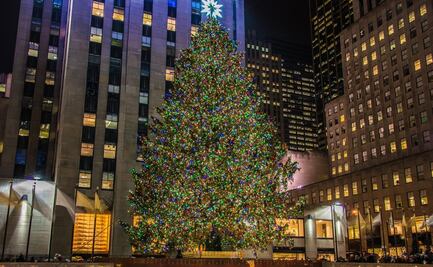 Eligen el árbol de Navidad que instalarán en el Rockefeller Center este 2020