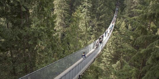 Recorre el puente colgante de Vancouver cubierto con luces navideñas