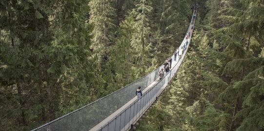 Recorre el puente colgante de Vancouver cubierto con luces navideñas