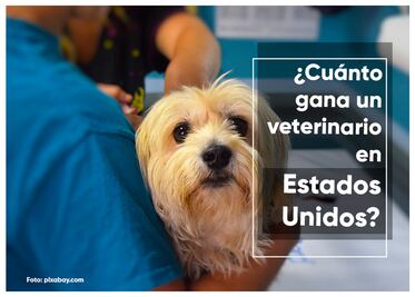 ¿Cuánto gana un veterinario en Estados Unidos por hora 2023?