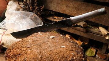 Tres turistas argentinos son atacados a machetazos en Oaxaca, México