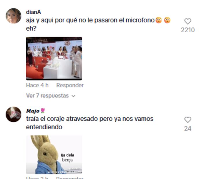 Foto: TikTok / Kathy Labz