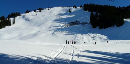 Mueren dos personas por avalancha de nieve en resort de Idaho 