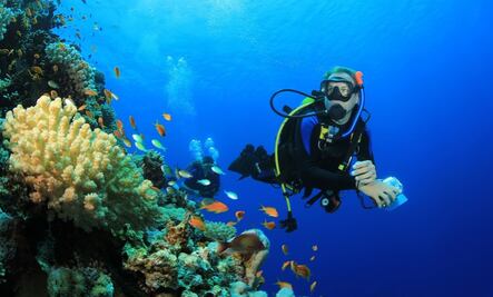 NASA lanza videojuego para ayudar a localizar corales