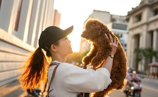 Las ciudades donde es más caro criar y cuidar perros en EU