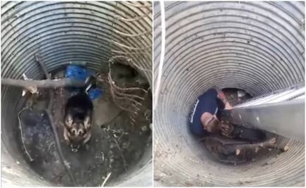 Video. Policías rescatan a perro que cayó en hoyo a 3 metros de profundidad