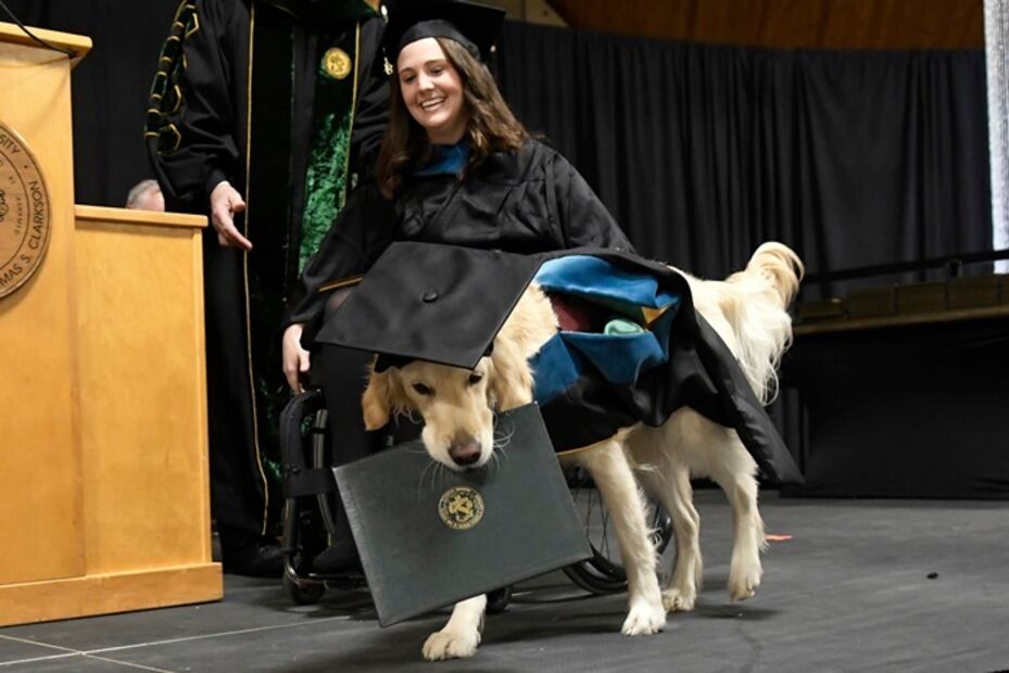 Perro de asistencia recibe diploma honorario por acompañar a su dueña a la escuela