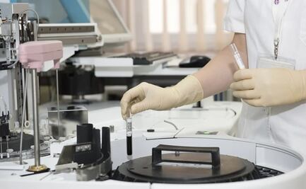 Alerta la OMS: Gripe aviar en gatos podría requerir vacunas para evitar propagación a humanos