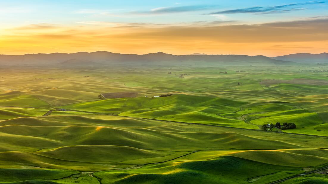 Beautiful landscape of crop field in Palouse in the morning. Foto: iStock
