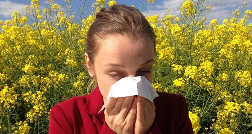 Estas son las peores ciudades para personas que sufren alergias primaverales