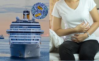 Alerta por salmonela: retiran pepinos del mercado tras brote en crucero