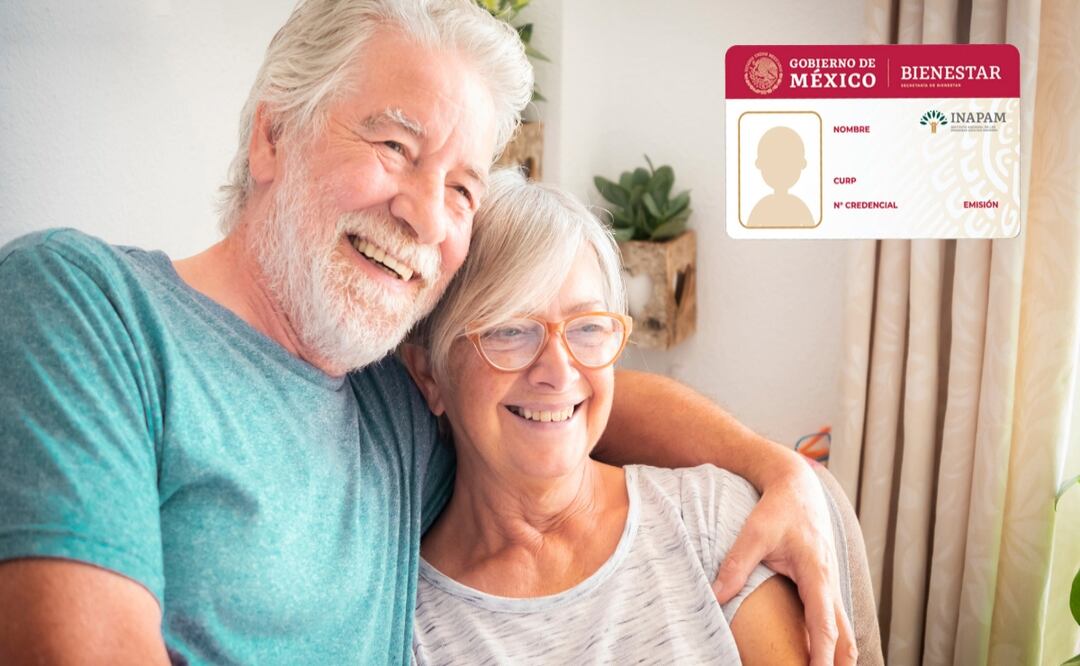 ¿Dónde tramitar la credencial INAPAM? Estas tiendas de autoservicio la entregan al instante
Foto: Adobe / INAPAM