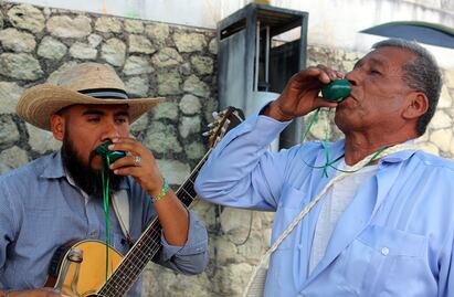 Científicos de Florida identifican al "gusano" del mezcal