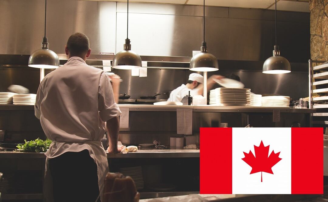Requisitos para el trabajo en Canadá para mexicanos con prepa terminada. Foto: Pixabay