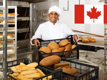 Canadá tiene trabajo para panaderos mexicanos por $37,190; requisitos y cómo aplicar