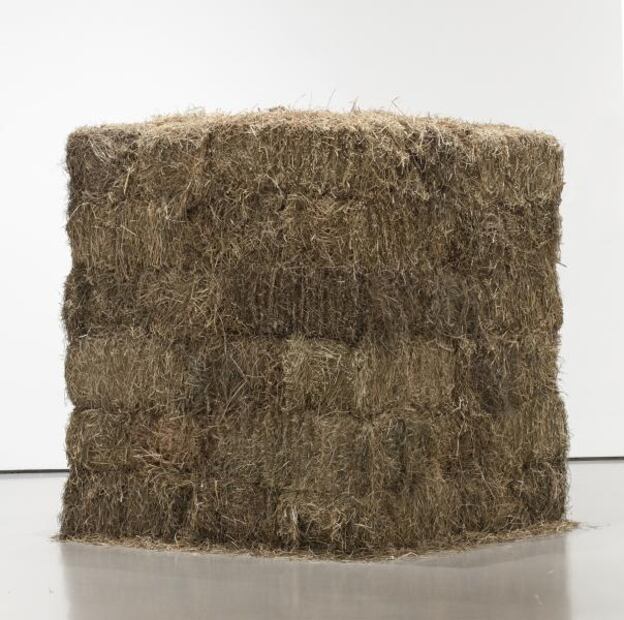 El MoMA de Nueva York tendrá exhibición de arte latinoamericano