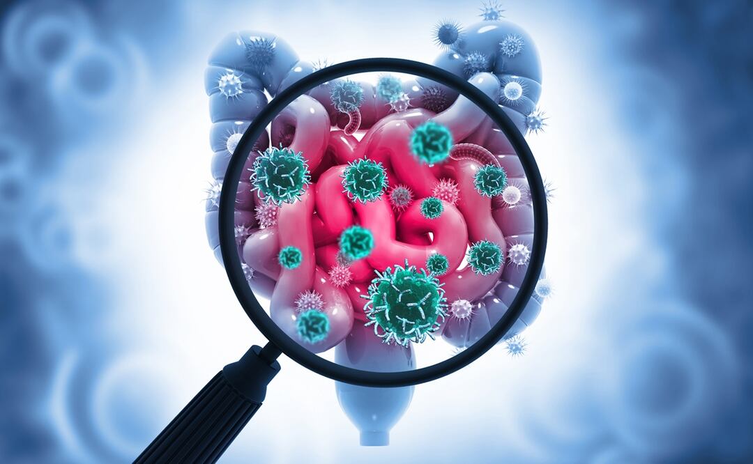 Foto: iStock-Mohammed Haneefa Nizamudeen