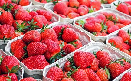 Vinculan brote de hepatitis A con fresas orgánicas mexicanas