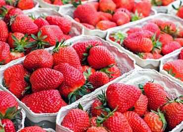 Vinculan brote de hepatitis A con fresas orgánicas mexicanas