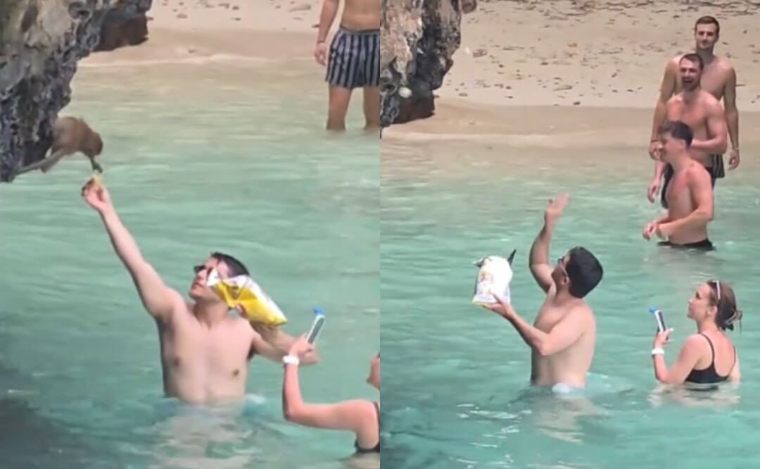 Video viral muestra a turistas contaminando y alimentando a monos en zona protegida con papas fritas | Imágenes: Tiktok @patrickbangkok