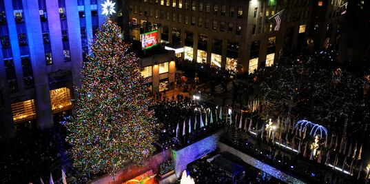 Eligen el árbol de Navidad que adornará el Rockefeller Center este año