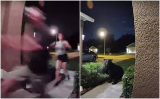 Video. Oso persigue a pareja que paseaba a su perro en Florida