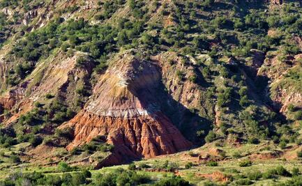 Los requisitos para ingresar a los parques de Texas tras la reapertura
