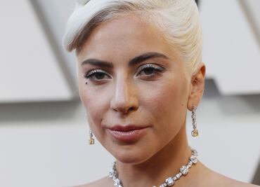 Lady Gaga ofrece medio millón de dólares por sus dos bulldogs
